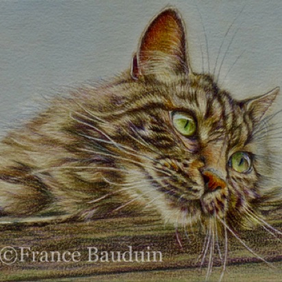 Griffin - 14 hours
Sand Colourfix Smooth 
4" x 6"
Ref: My own photo